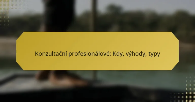 Konzultační profesionálové: Kdy, výhody, typy