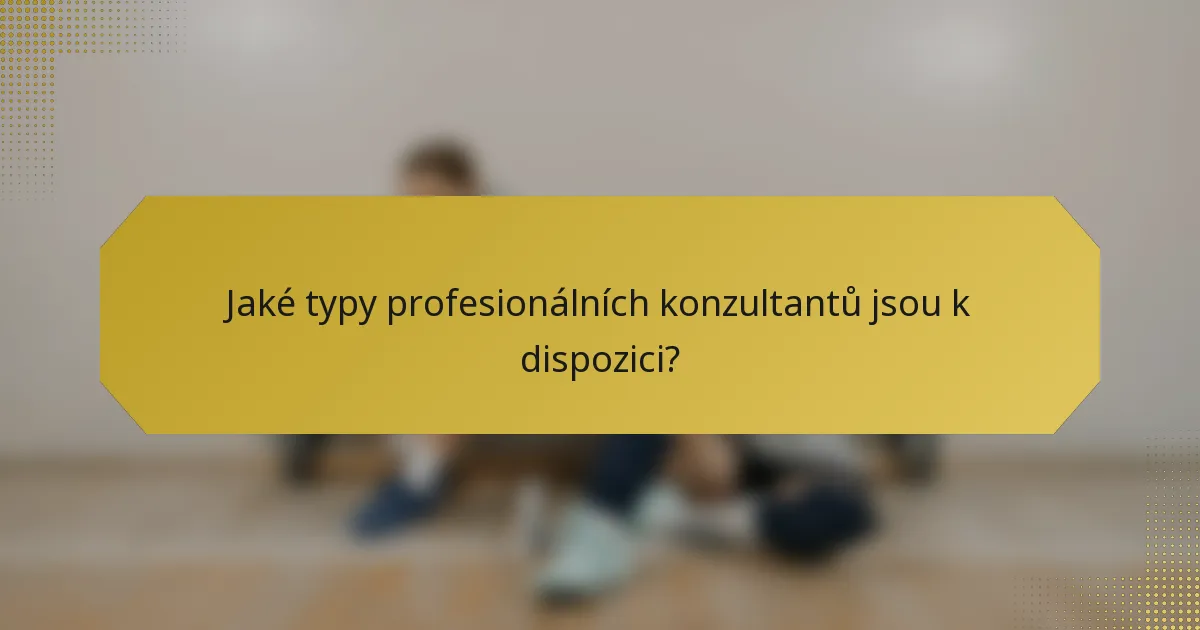 Jaké typy profesionálních konzultantů jsou k dispozici?